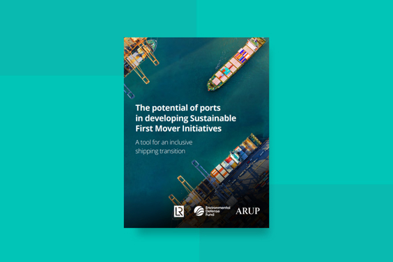 Arup report