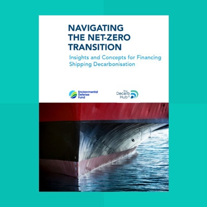 Navigating the Net-Zero Transition